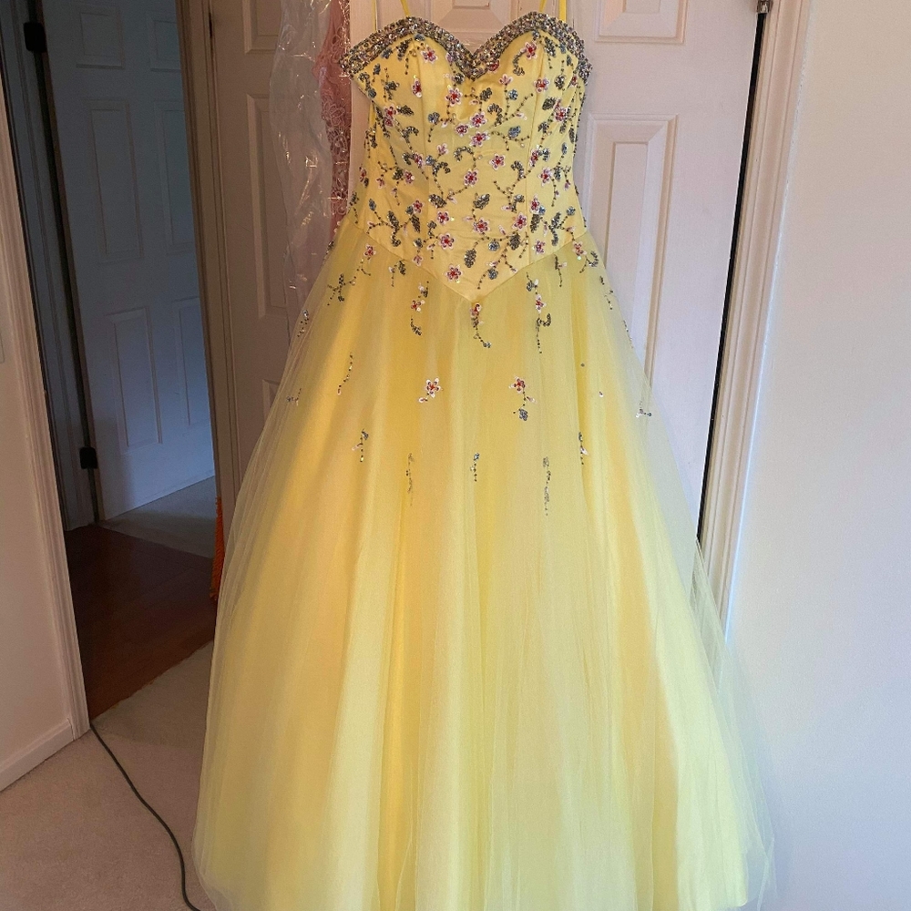 Alyce Paris dress